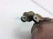 Sold 2018 Honda Clarity Exhaust Manifold 18190 5WJ A00 Replacement Sold 2018 Honda Clarity Exhaust Manifold 18190 5WJ A00 Replacement thumbnail