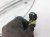 Sold 2010 Nissan Frontier Rear Driver Door Window Regulator 82721 EB000 Replacement Sold 2010 Nissan Frontier Rear Driver Door Window Regulator 82721 EB000 Replacement thumbnail