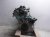 Sold 2020 Nissan Versa Motor / Engine = 2k Miles 10102 9MF0A Replacement Sold 2020 Nissan Versa Motor / Engine = 2k Miles 10102 9MF0A Replacement thumbnail