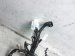 Sold 2020 Nissan Versa Engine Room Harness 1.6l At Sv 24012 5EE0C Replacement Sold 2020 Nissan Versa Engine Room Harness 1.6l At Sv 24012 5EE0C Replacement thumbnail