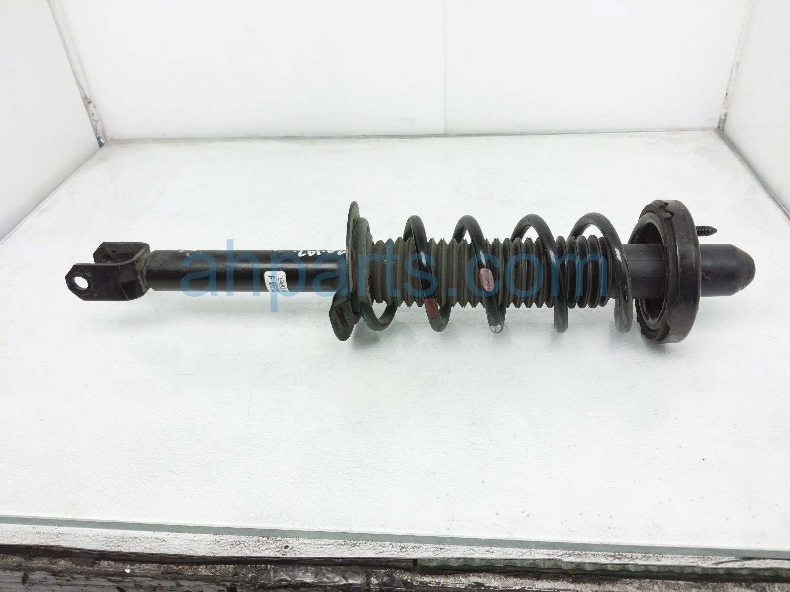 $40 Honda RR/RH STRUT + SPRING $40 Honda RR/RH STRUT + SPRING