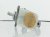 Sold 2010 Subaru Forester Brake Master Cylinder 26401AG030 Replacement Sold 2010 Subaru Forester Brake Master Cylinder 26401AG030 Replacement thumbnail
