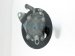 Sold 2013 Nissan GT R Power Steering Pump/ Motor 49110 JF00A Replacement Sold 2013 Nissan GT R Power Steering Pump/ Motor 49110 JF00A Replacement thumbnail