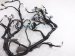 Sold 2019 Honda Clarity Dash Instrument Wire Harness 32117 TRW A10 Replacement Sold 2019 Honda Clarity Dash Instrument Wire Harness 32117 TRW A10 Replacement thumbnail