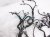 Sold 2019 Honda Clarity Dash Instrument Wire Harness 32117 TRW A10 Replacement Sold 2019 Honda Clarity Dash Instrument Wire Harness 32117 TRW A10 Replacement thumbnail
