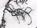 Sold 2019 Honda Clarity Dash Instrument Wire Harness 32117 TRW A10 Replacement Sold 2019 Honda Clarity Dash Instrument Wire Harness 32117 TRW A10 Replacement thumbnail