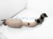 Sold 2008 Toyota Tacoma Right Exhaust Manifold Converter 4.0 17140 0P100 Replacement Sold 2008 Toyota Tacoma Right Exhaust Manifold Converter 4.0 17140 0P100 Replacement thumbnail