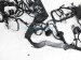 Sold 2017 Toyota Prius Engine Room Wire Harness 82111 47P30 Replacement Sold 2017 Toyota Prius Engine Room Wire Harness 82111 47P30 Replacement thumbnail