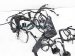 Sold 2017 Toyota Prius Engine Room Wire Harness 82111 47P30 Replacement Sold 2017 Toyota Prius Engine Room Wire Harness 82111 47P30 Replacement thumbnail