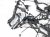 Sold 2017 Toyota Prius Engine Room Wire Harness 82111 47P30 Replacement Sold 2017 Toyota Prius Engine Room Wire Harness 82111 47P30 Replacement thumbnail