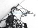 Sold 2017 Toyota Prius Engine Room Wire Harness 82111 47P30 Replacement Sold 2017 Toyota Prius Engine Room Wire Harness 82111 47P30 Replacement thumbnail