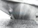 Sold 2011 Mercedes E350 Rear Differential Carrier 204 350 02 14 80 Replacement Sold 2011 Mercedes E350 Rear Differential Carrier 204 350 02 14 80 Replacement thumbnail
