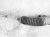 Sold 2016 Honda FIT Gear Box Power Steering Rack And Pinion 53400 T5R A01 Replacement Sold 2016 Honda FIT Gear Box Power Steering Rack And Pinion 53400 T5R A01 Replacement thumbnail