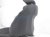 Sold 2016 Honda FIT Front Driver Seat Black W/o Airbag 81521 TST A31ZA Replacement Sold 2016 Honda FIT Front Driver Seat Black W/o Airbag 81521 TST A31ZA Replacement thumbnail