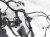 Sold 2020 Nissan Versa Engine Room Wire Harness Sv 1.6l 24012 5EE0C Replacement Sold 2020 Nissan Versa Engine Room Wire Harness Sv 1.6l 24012 5EE0C Replacement thumbnail