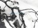 Sold 2020 Nissan Versa Engine Room Wire Harness Sv 1.6l 24012 5EE0C Replacement Sold 2020 Nissan Versa Engine Room Wire Harness Sv 1.6l 24012 5EE0C Replacement thumbnail