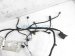 Sold 2020 Nissan Versa Engine Room Wire Harness Sv 1.6l 24012 5EE0C Replacement Sold 2020 Nissan Versa Engine Room Wire Harness Sv 1.6l 24012 5EE0C Replacement thumbnail