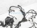 Sold 2020 Nissan Versa Engine Room Wire Harness Sv 1.6l 24012 5EE0C Replacement Sold 2020 Nissan Versa Engine Room Wire Harness Sv 1.6l 24012 5EE0C Replacement thumbnail