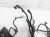Sold 2020 Nissan Versa Engine Room Wire Harness Sv 1.6l 24012 5EE0C Replacement Sold 2020 Nissan Versa Engine Room Wire Harness Sv 1.6l 24012 5EE0C Replacement thumbnail