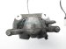 Sold 2012 BMW Minicooper Countryman Front Driver Brake Caliper 34 11 9 804 727 Replacement Sold 2012 BMW Minicooper Countryman Front Driver Brake Caliper 34 11 9 804 727 Replacement thumbnail