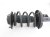 Sold 2016 Hyundai Veloster Front Passenger Strut + Spring R spec 54661 2V920 Replacement Sold 2016 Hyundai Veloster Front Passenger Strut + Spring R spec 54661 2V920 Replacement thumbnail