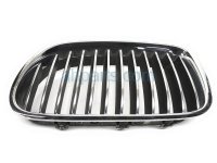 $50 BMW LH UPPER GRILLE - CHROME $50 BMW LH UPPER GRILLE - CHROME