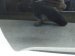 Sold 2016 Honda Civic Front Driver Door Purple No Mirror/trim 67050 TBA A00ZZ Replacement Sold 2016 Honda Civic Front Driver Door Purple No Mirror/trim 67050 TBA A00ZZ Replacement thumbnail