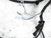 Sold 2017 Toyota Rav 4 Engine Room Wire Harness Le 82111 0R271 Replacement Sold 2017 Toyota Rav 4 Engine Room Wire Harness Le 82111 0R271 Replacement thumbnail