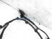 Sold 2017 Toyota Rav 4 Engine Room Wire Harness Le 82111 0R271 Replacement Sold 2017 Toyota Rav 4 Engine Room Wire Harness Le 82111 0R271 Replacement thumbnail