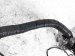 Sold 2020 Nissan Sentra Main Engine Wire Harness 2.0l Cvt 24011 6LB0A Replacement Sold 2020 Nissan Sentra Main Engine Wire Harness 2.0l Cvt 24011 6LB0A Replacement thumbnail