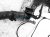 Sold 2020 Nissan Sentra Main Engine Wire Harness 2.0l Cvt 24011 6LB0A Replacement Sold 2020 Nissan Sentra Main Engine Wire Harness 2.0l Cvt 24011 6LB0A Replacement thumbnail