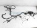 Sold 2020 Nissan Sentra Main Engine Wire Harness 2.0l Cvt 24011 6LB0A Replacement Sold 2020 Nissan Sentra Main Engine Wire Harness 2.0l Cvt 24011 6LB0A Replacement thumbnail