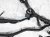 Sold 2020 Nissan Sentra Main Engine Wire Harness 2.0l Cvt 24011 6LB0A Replacement Sold 2020 Nissan Sentra Main Engine Wire Harness 2.0l Cvt 24011 6LB0A Replacement thumbnail