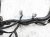 Sold 2020 Nissan Sentra Main Engine Wire Harness 2.0l Cvt 24011 6LB0A Replacement Sold 2020 Nissan Sentra Main Engine Wire Harness 2.0l Cvt 24011 6LB0A Replacement thumbnail