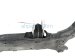 Sold 2015 Volvo Xc60 Crossmember Front Engine Cradle / Cross member 31406810 Replacement Sold 2015 Volvo Xc60 Crossmember Front Engine Cradle / Cross member 31406810 Replacement thumbnail