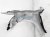 Sold 2014 Lexus Is 250 Front Passenger Side Fender White 53801 53150 Replacement Sold 2014 Lexus Is 250 Front Passenger Side Fender White 53801 53150 Replacement thumbnail