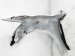 Sold 2014 Lexus Is 250 Front Passenger Side Fender White 53801 53150 Replacement Sold 2014 Lexus Is 250 Front Passenger Side Fender White 53801 53150 Replacement thumbnail