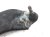 Sold 2020 Toyota Rav 4 Front Passenger Lower Control Arm 48068 0R050 Replacement Sold 2020 Toyota Rav 4 Front Passenger Lower Control Arm 48068 0R050 Replacement thumbnail