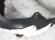 Sold 2019 Kia Forte Rear Passenger Inner Fender Liner 86822 M7000 Replacement Sold 2019 Kia Forte Rear Passenger Inner Fender Liner 86822 M7000 Replacement thumbnail