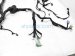 Sold 2018 Honda Accord Engine Room Wiring Harness 1.5l 32200 TVA A80 Replacement Sold 2018 Honda Accord Engine Room Wiring Harness 1.5l 32200 TVA A80 Replacement thumbnail