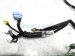 Sold 2018 Honda Accord Engine Room Wiring Harness 1.5l 32200 TVA A80 Replacement Sold 2018 Honda Accord Engine Room Wiring Harness 1.5l 32200 TVA A80 Replacement thumbnail