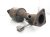 Sold 2015 Honda CR V Catalytic Converter 18150 5LA A00 Replacement Sold 2015 Honda CR V Catalytic Converter 18150 5LA A00 Replacement thumbnail