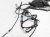 Sold 2020 Toyota Corolla Engine Room Harness Se Sedan* 82111 1KB10 Replacement Sold 2020 Toyota Corolla Engine Room Harness Se Sedan* 82111 1KB10 Replacement thumbnail