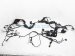 Sold 2020 Toyota Corolla Engine Room Harness Se Sedan* 82111 1KB10 Replacement Sold 2020 Toyota Corolla Engine Room Harness Se Sedan* 82111 1KB10 Replacement thumbnail