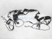 Sold 2020 Toyota Corolla Engine Room Harness Se Sedan* 82111 1KB10 Replacement Sold 2020 Toyota Corolla Engine Room Harness Se Sedan* 82111 1KB10 Replacement thumbnail