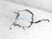 Sold 2020 Lincoln Continental Transmission Oil Cooler Line HD9P 7F113 CA Replacement Sold 2020 Lincoln Continental Transmission Oil Cooler Line HD9P 7F113 CA Replacement thumbnail