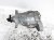 Sold 2013 BMW 535i Readr Differential Carrier Assy 33 10 7 584 448 Replacement Sold 2013 BMW 535i Readr Differential Carrier Assy 33 10 7 584 448 Replacement thumbnail
