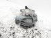 Sold 2013 BMW 535i Readr Differential Carrier Assy 33 10 7 584 448 Replacement Sold 2013 BMW 535i Readr Differential Carrier Assy 33 10 7 584 448 Replacement thumbnail