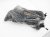 Sold 2014 BMW Mini Cooper Lh/rh Sun Visor Black 51 16 7 382 110 Replacement Sold 2014 BMW Mini Cooper Lh/rh Sun Visor Black 51 16 7 382 110 Replacement thumbnail