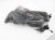 Sold 2014 BMW Mini Cooper Lh/rh Sun Visor Black 51 16 7 382 110 Replacement Sold 2014 BMW Mini Cooper Lh/rh Sun Visor Black 51 16 7 382 110 Replacement thumbnail